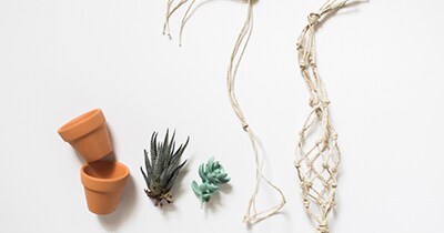 Create terrariums
