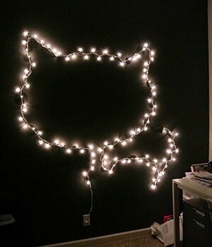 Mount the Command™ Clear Decorating Clips onto your wall in your desired shape.
