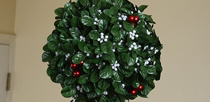 Mistletoe Ball