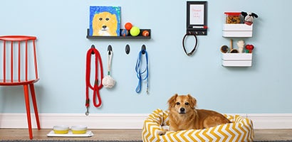 How to Create a Dog Command Center