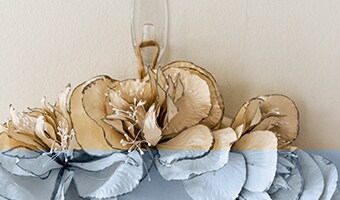 transparent
