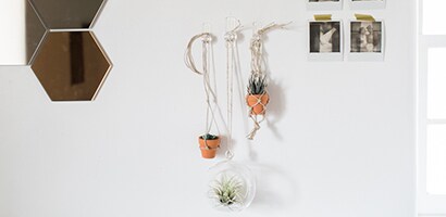 Hanging Wall Terrariums