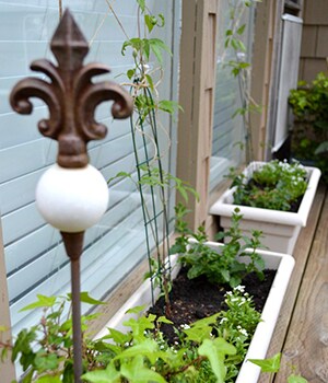 Add garden soil to the bottom of the planters
