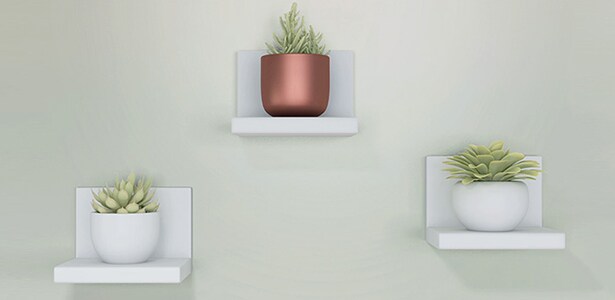 Add small plants to your walls using Command™ Display Ledges