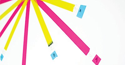 Clip Labels
