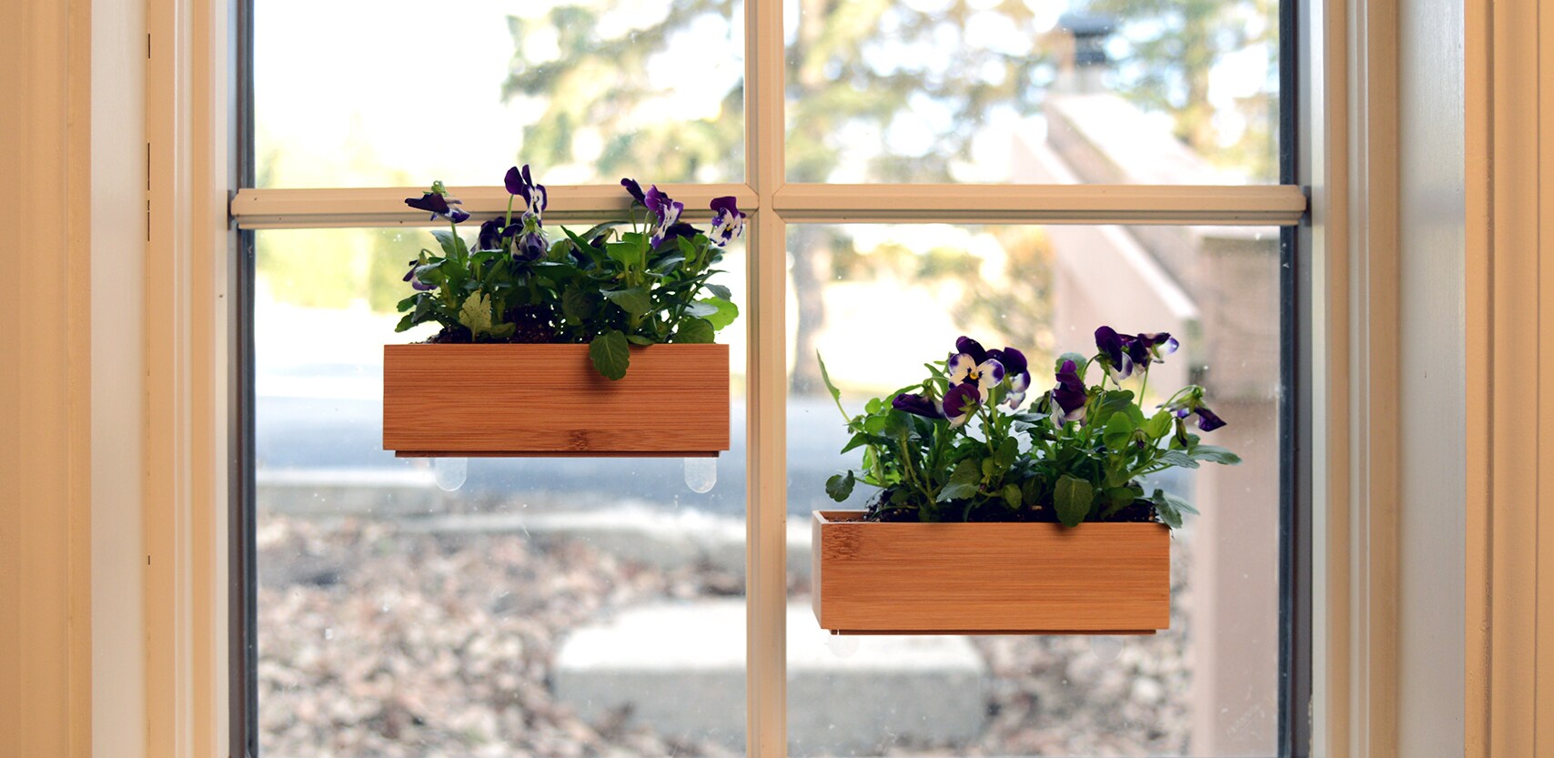 Window Garden