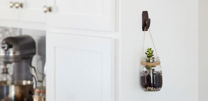 Hanging Succulent
