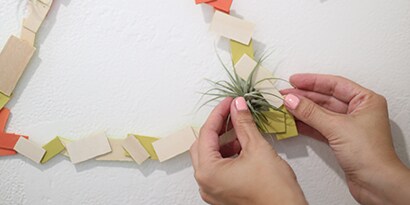 Add air plants to wreath
