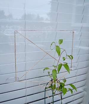 Repeat steps 2-6 to create another trellis grid for the second planter
