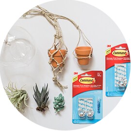 Hanging Wall Terrariums Materials
