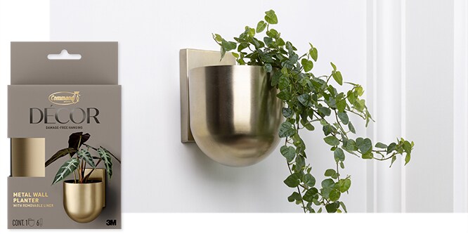 Command™ Metal Wall Planter in brushed brass holding a trailing plant with vines on a white wall.
