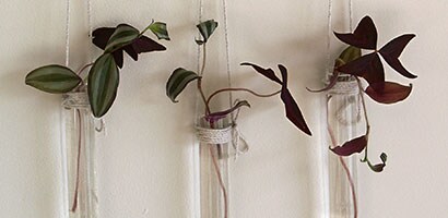 Wall Vase for Single Flowers